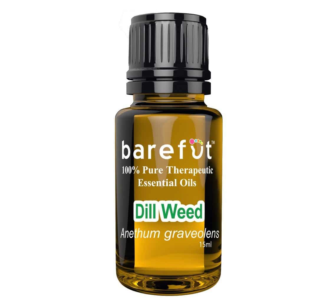 Dill Weed Essential Oil Barefut Essential Oils 100 Pure Therapeutic