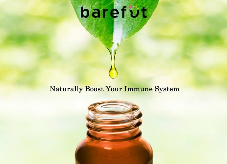 Immune Boost Essential Oil Blend barefut Essential Oils 100 Pure