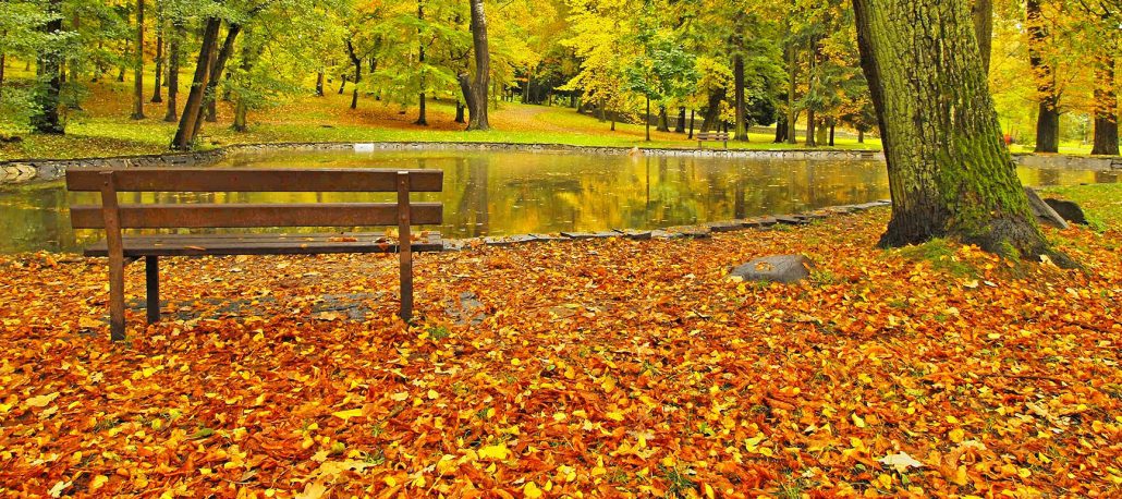 Contact Bare Root Landscaping