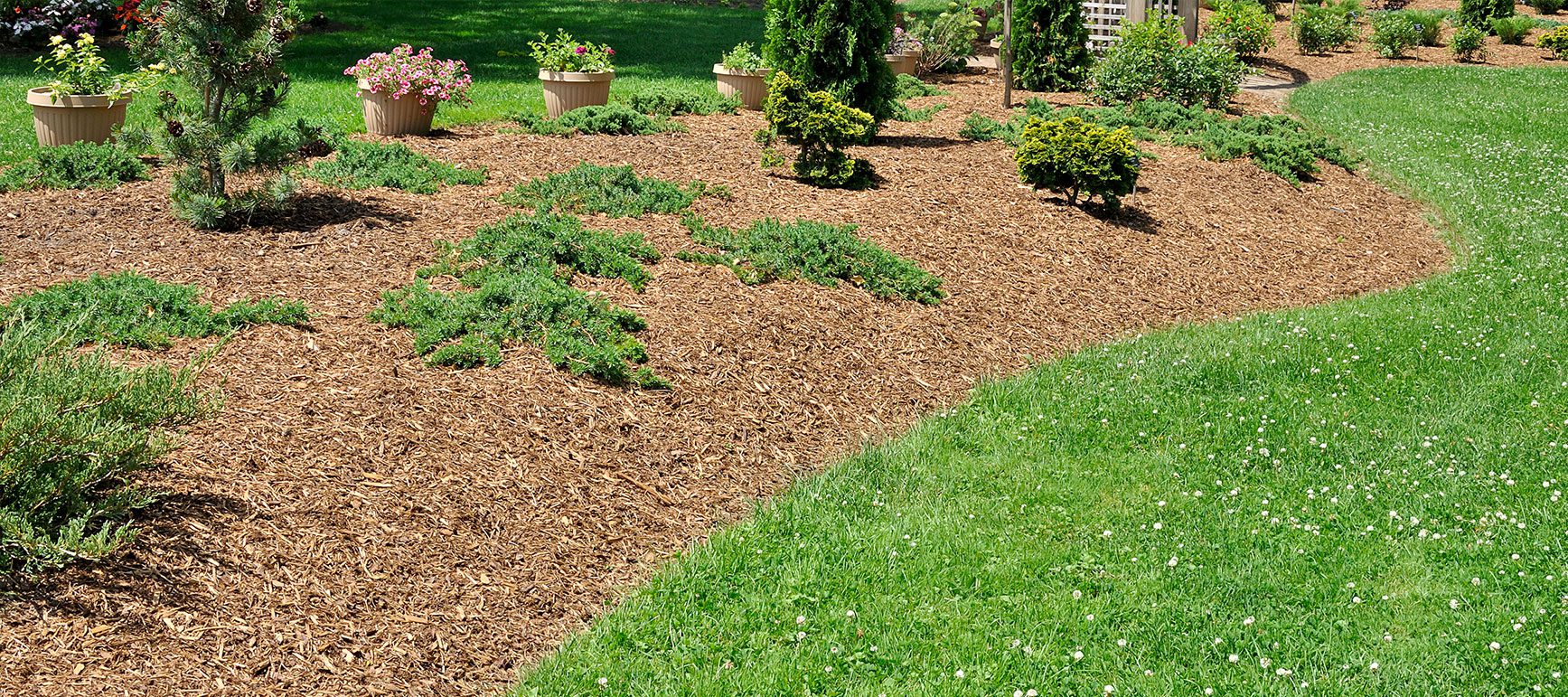 History Bare Root Landscaping