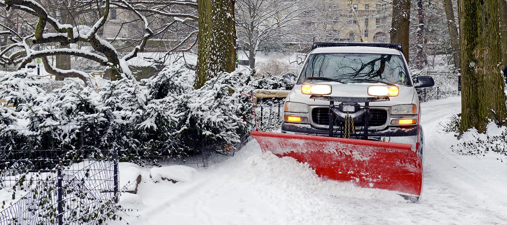 SnowRemoval Bare Root Landscaping