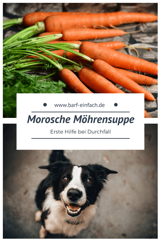 Morosche Möhrensuppe erste Hilfe bei Durchfall Barf
