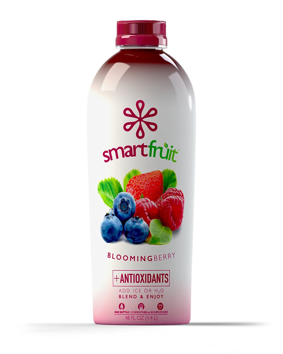 Smartfruit All Natural Fruit Smoothie Mix Only 14.99!