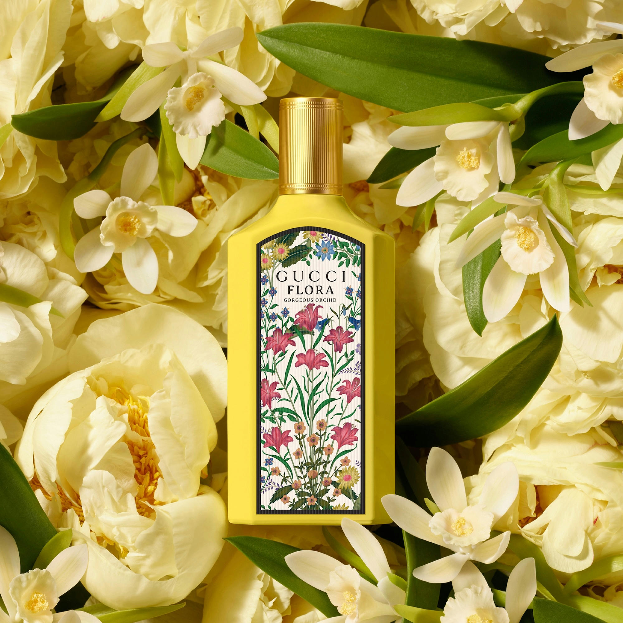 Saturday Freebies – Free Gucci Flora Gorgeous Orchid Fragrance Sample Saturday Freebies – Free Gucci Flora Gorgeous Orchid Fragrance Sample
