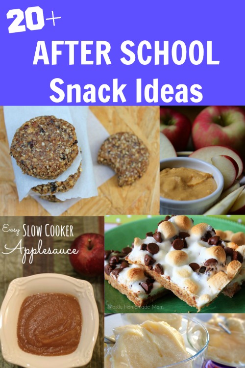 20+ After School Snack Ideas BargainBriana