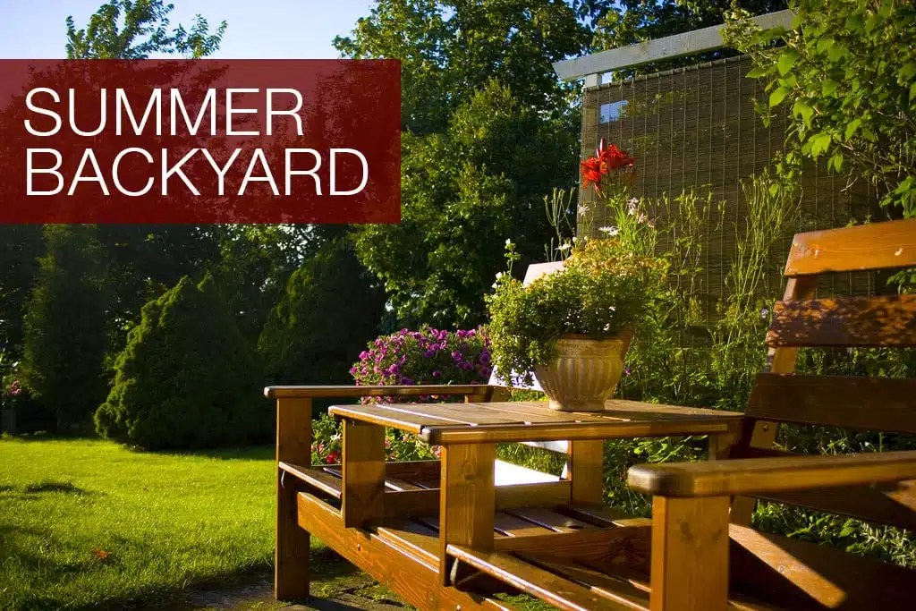 Summer Backyard Bargain Dumpster