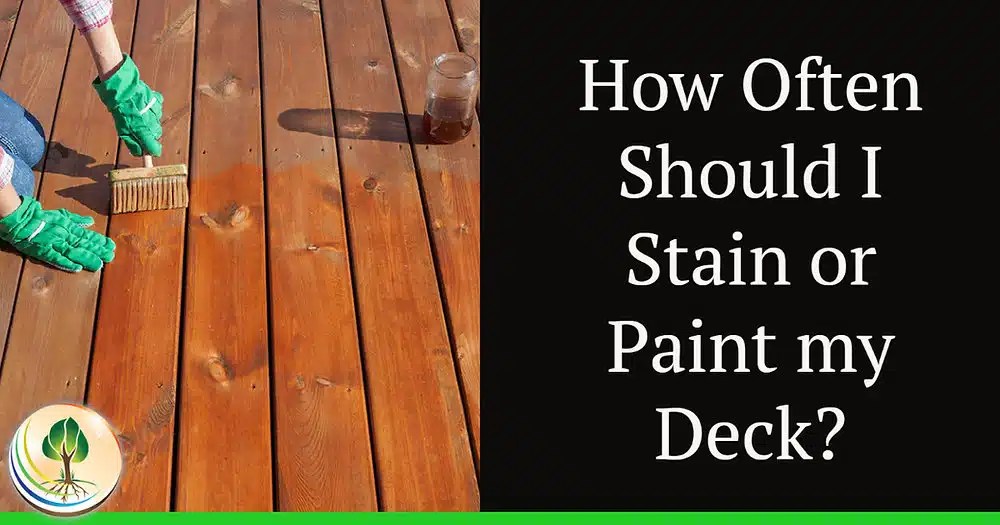 Deck Finish Dilemma It's Paint vs. Stain for lasting outdoor beauty!
