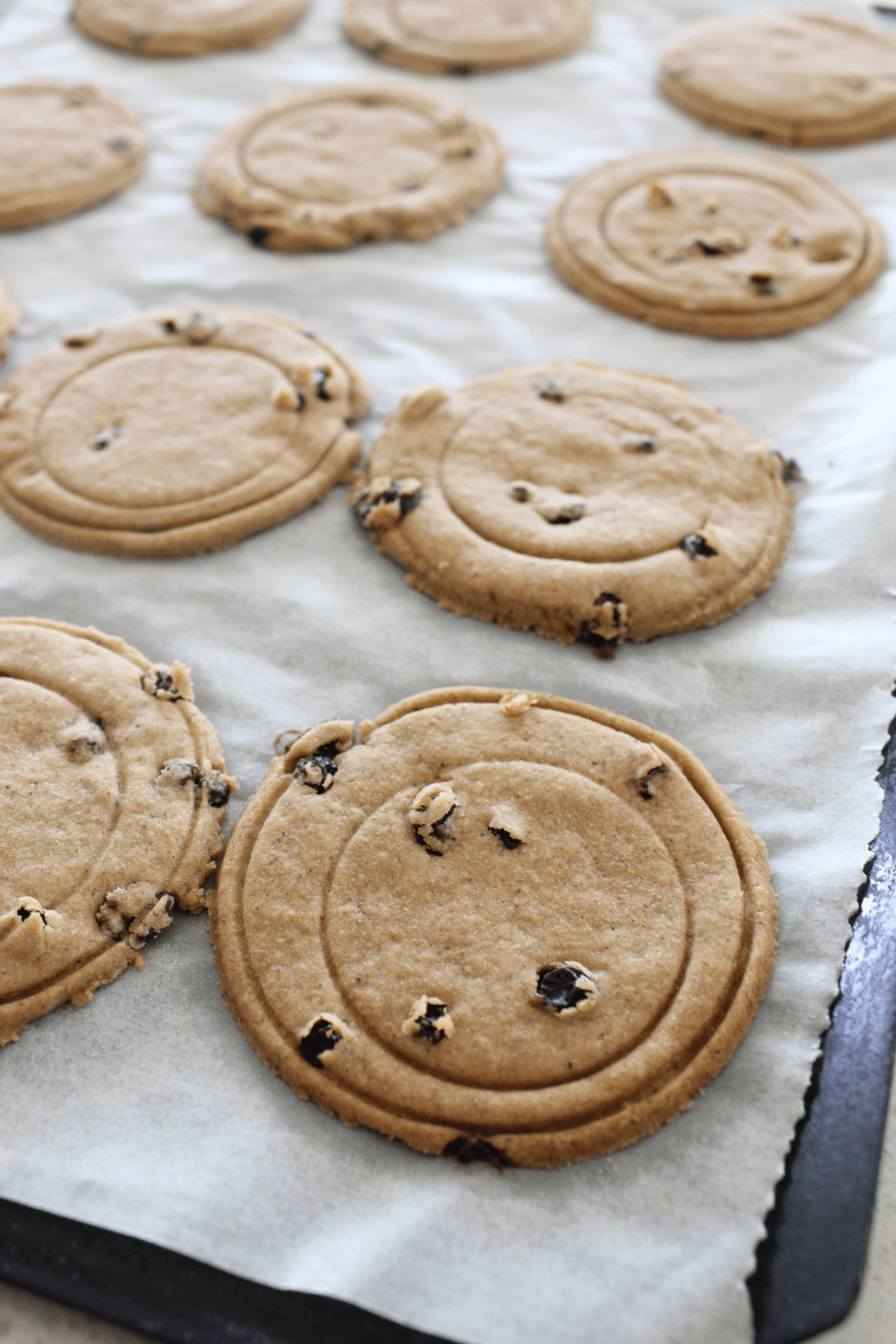 Coffee Scroll Biscuits Bargain Mums