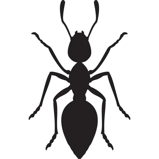 Bond Clean Gold Coast Pest Control Gold Coast Carpet Cleaning Gold