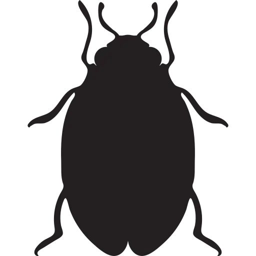 Bond Clean Gold Coast Pest Control Gold Coast Carpet Cleaning Gold