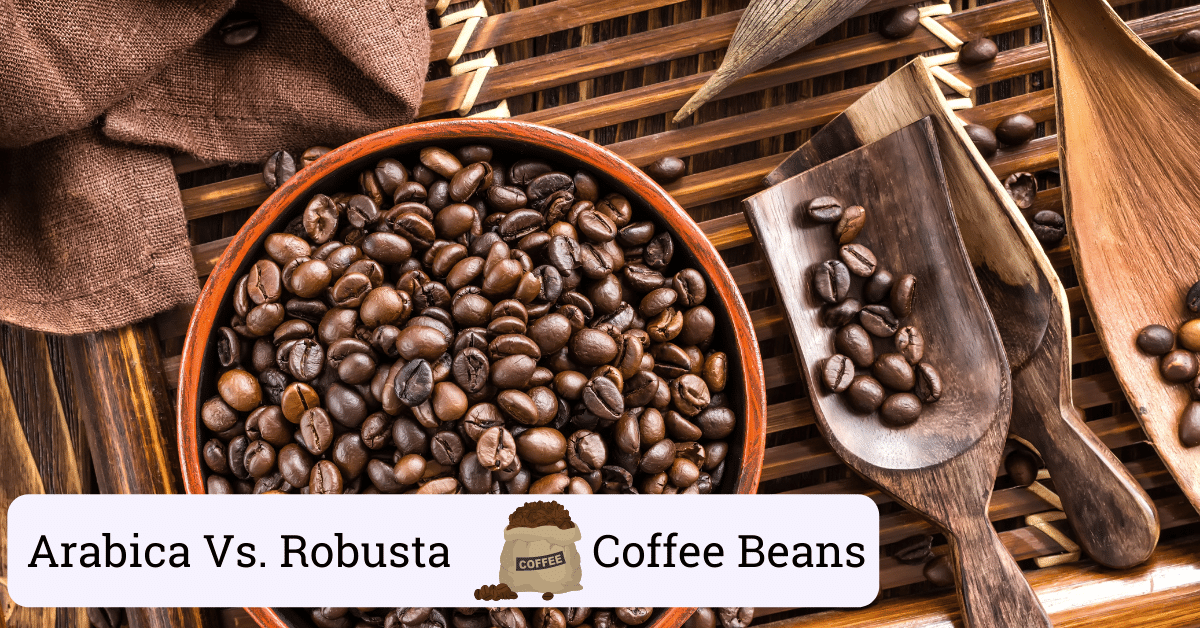 Arabica Vs. Robusta (The Two Types Of Coffee Beans)