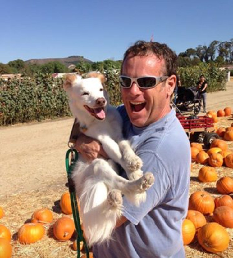Fetch Pet Care Hollywood Hills * Sherman Oaks Bark Reviews