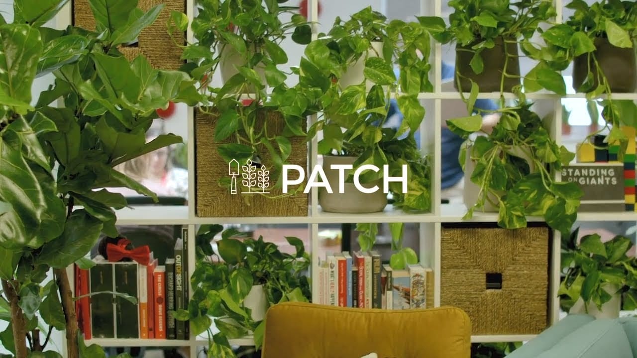 Patch Plants — BARK