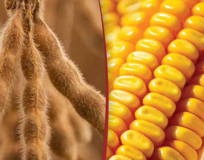 PRIDE Seeds Bark Communications