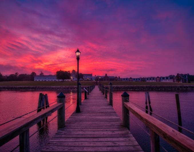 Sandy Cove Bark Communications