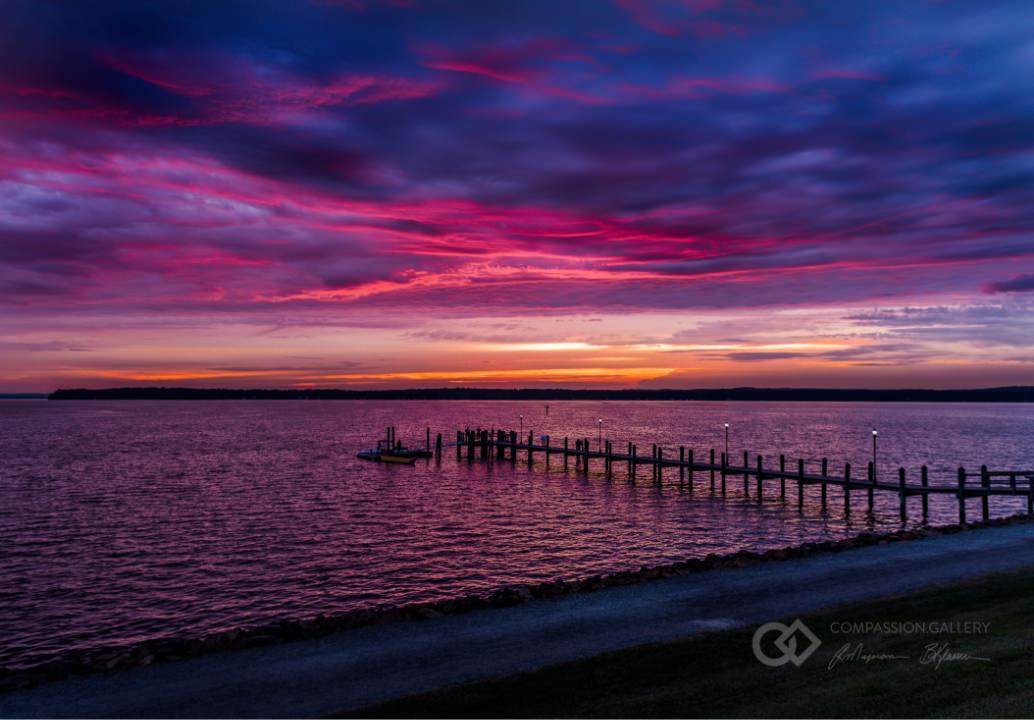 Sandy Cove Bark Communications