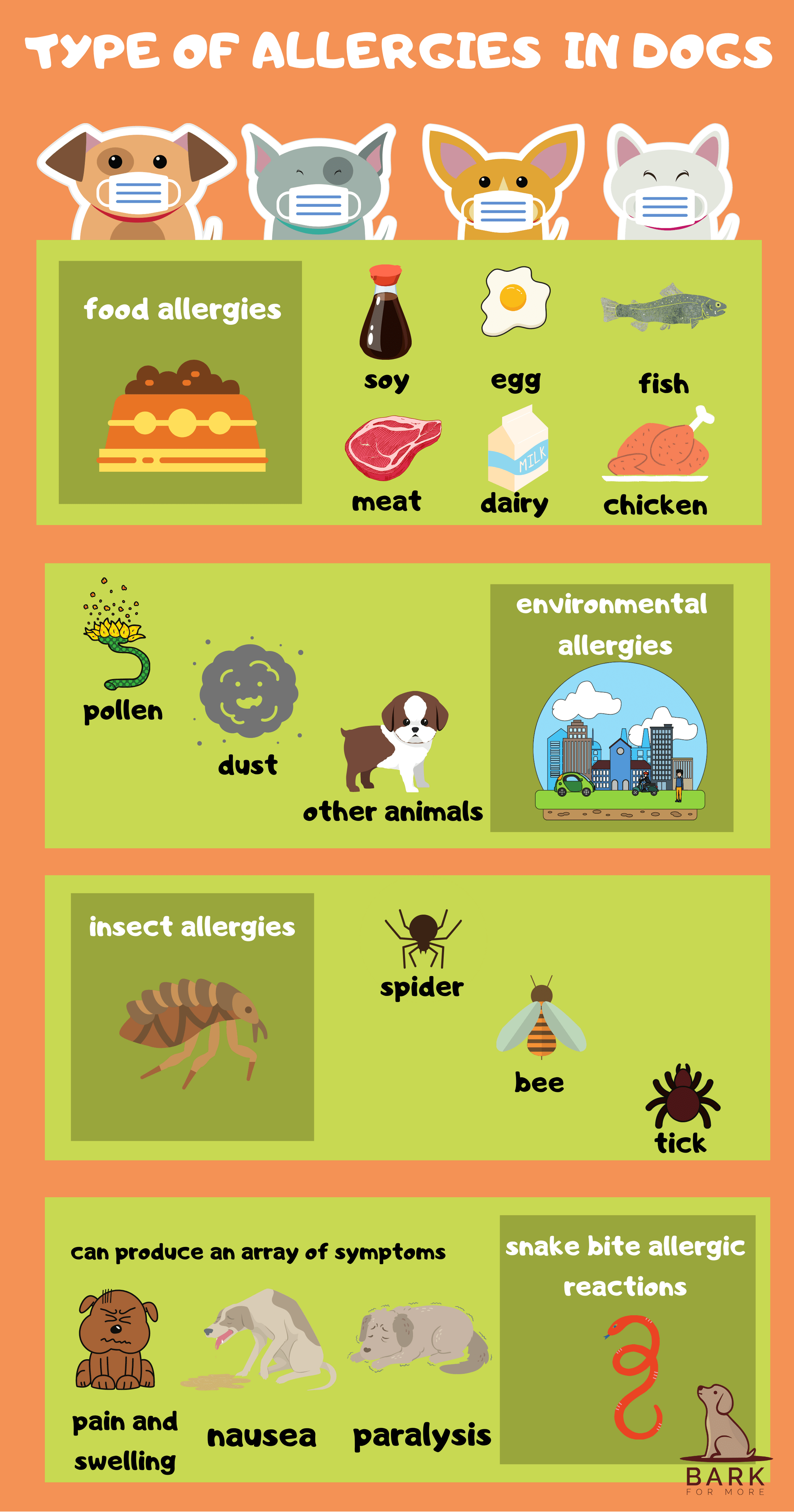 Benadryl For Dogs Indications, Considerations, And Everything Else You Should Know Bark For More