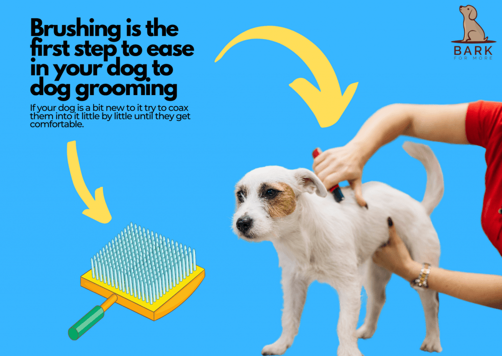 31 Helpful Knowhows When Grooming Your Dog At Home Bark For More