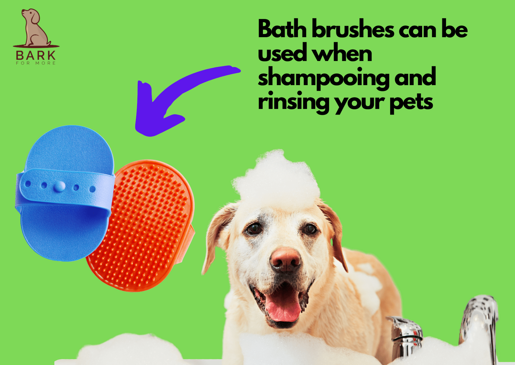 31 Helpful Knowhows When Grooming Your Dog At Home Bark For More