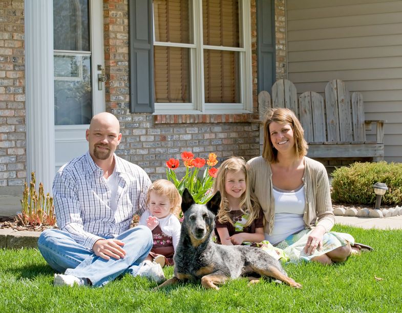 Is A Blue Heeler A Good Family Dog - Bark How