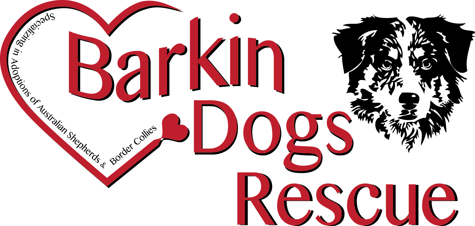 Adoption Contract Barkin Dogs Rescue