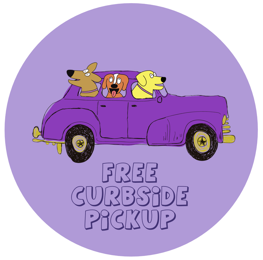 Gilbert Arizona Barking Dogs SelfWash & Grooming
