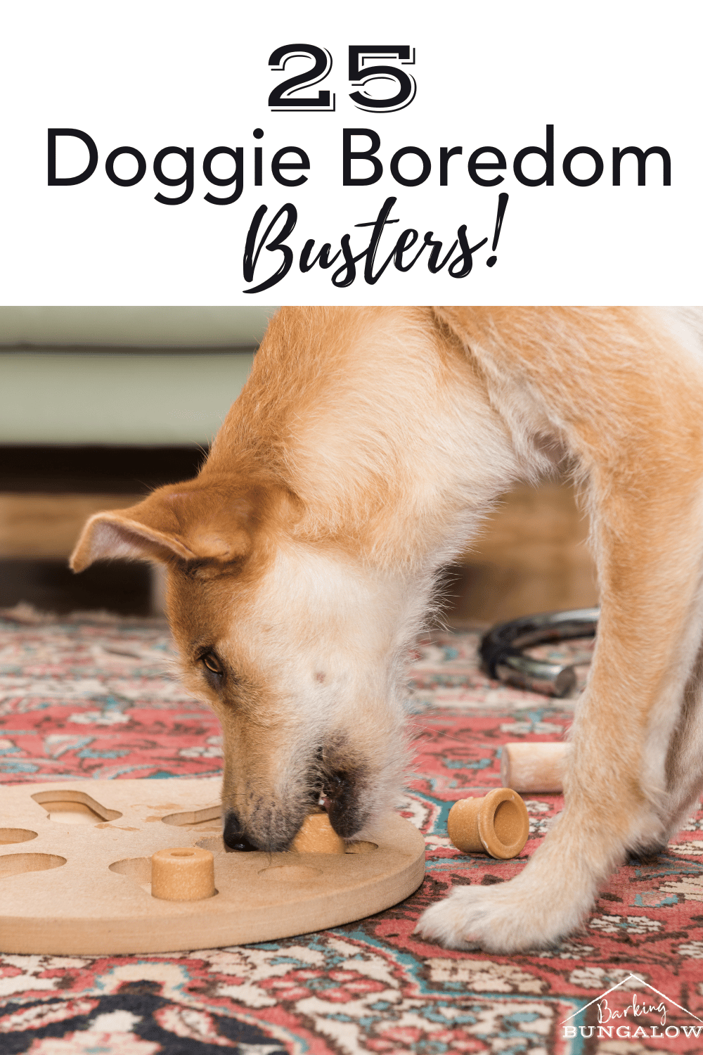 25 Wasy How to Keep Dogs Entertained While at Work