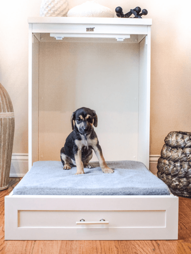 33 of the Coziest Modern Farmhouse Style Dog Beds