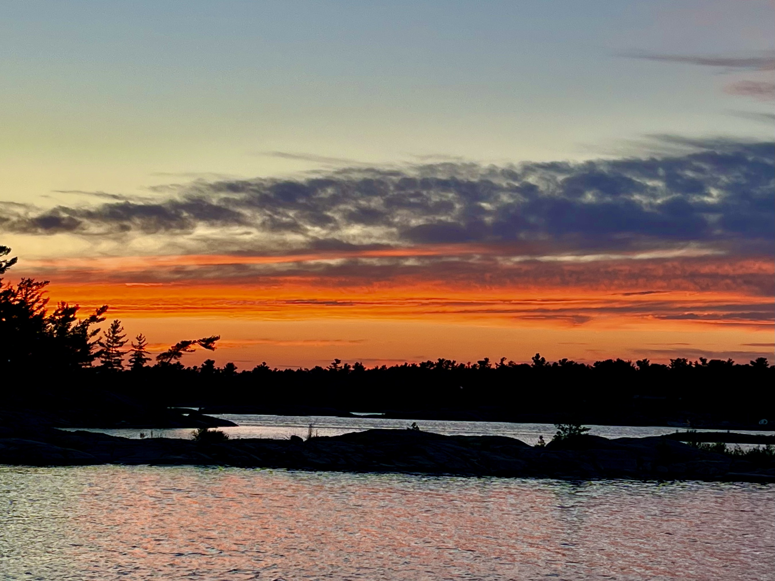 Mindfulness in the Garden Barking Dog Gardens Gardening in New England