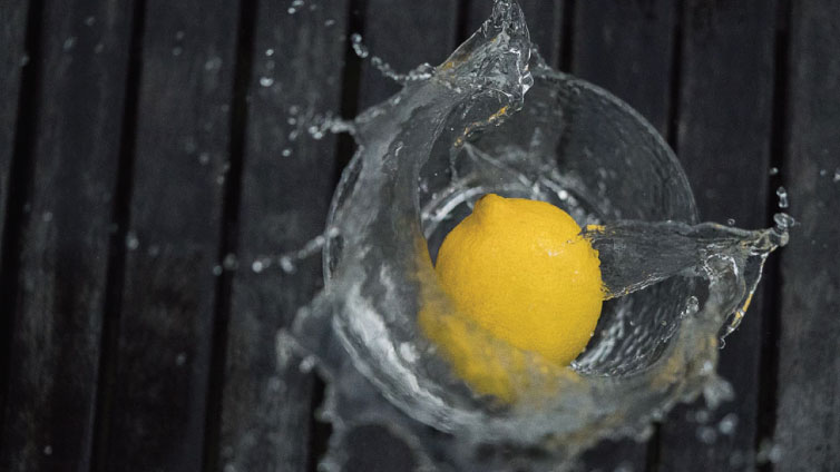 Can Dogs Drink Lemon Water? Barking Royalty