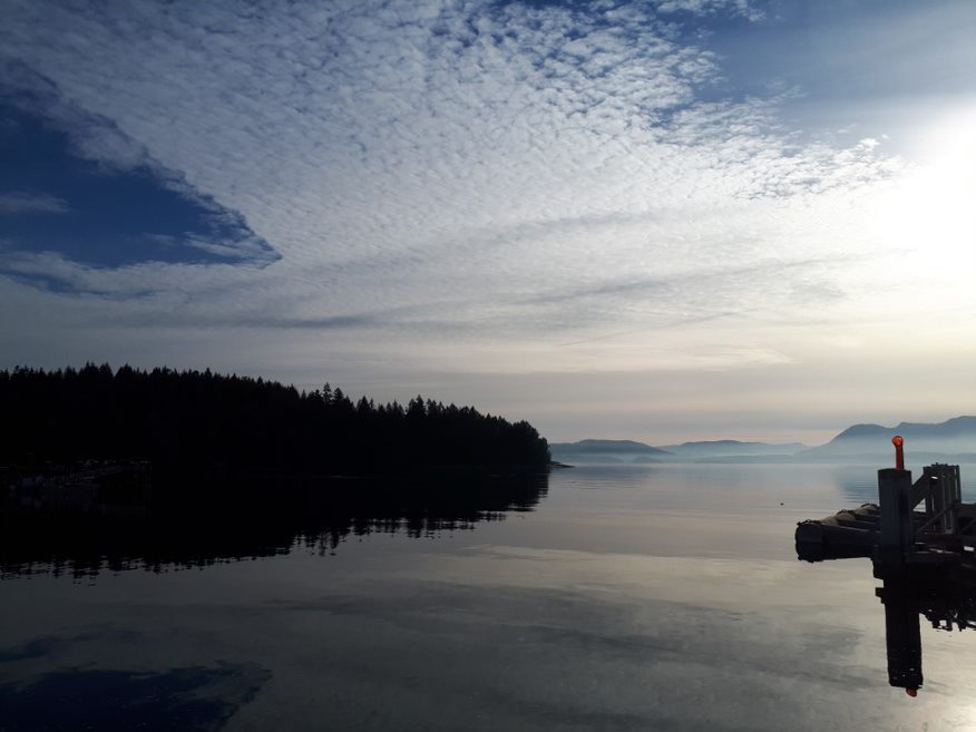 Penelakut CEP & Implementation Barkley Project Group