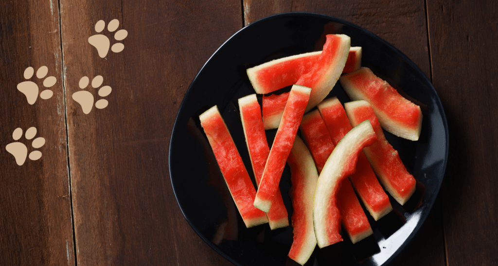 Are Melon Rinds Bad For Dogs