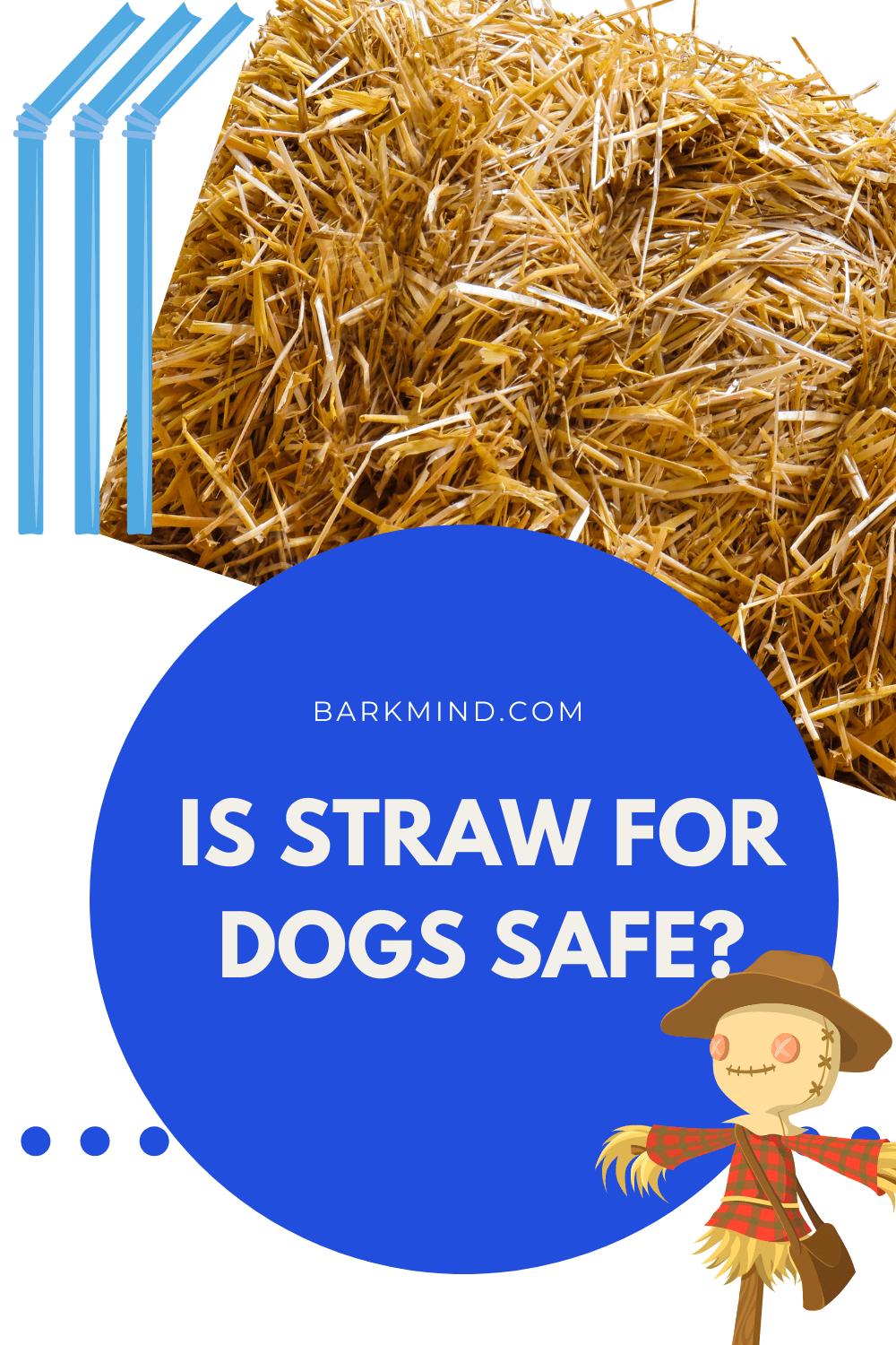 Straw For Dogs, Good Or Bad? Barkmind