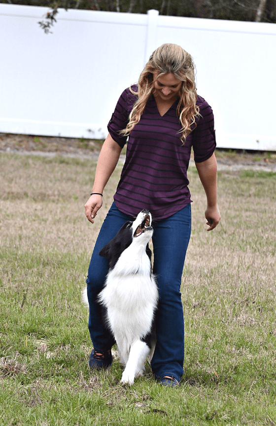 Dog Board & Training Program Dog Trainers in Land O' Lakes Florida