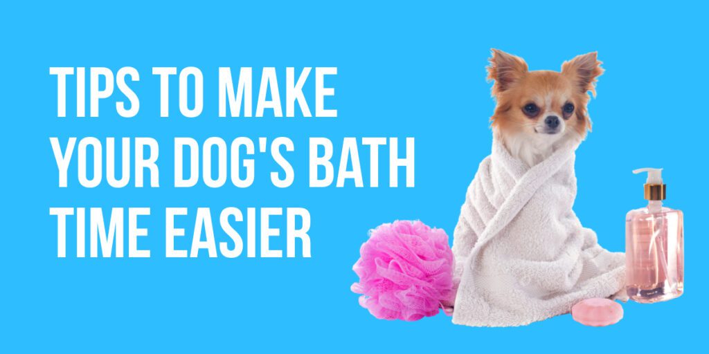 Tips To Make Your Dog's Bath Time Easier