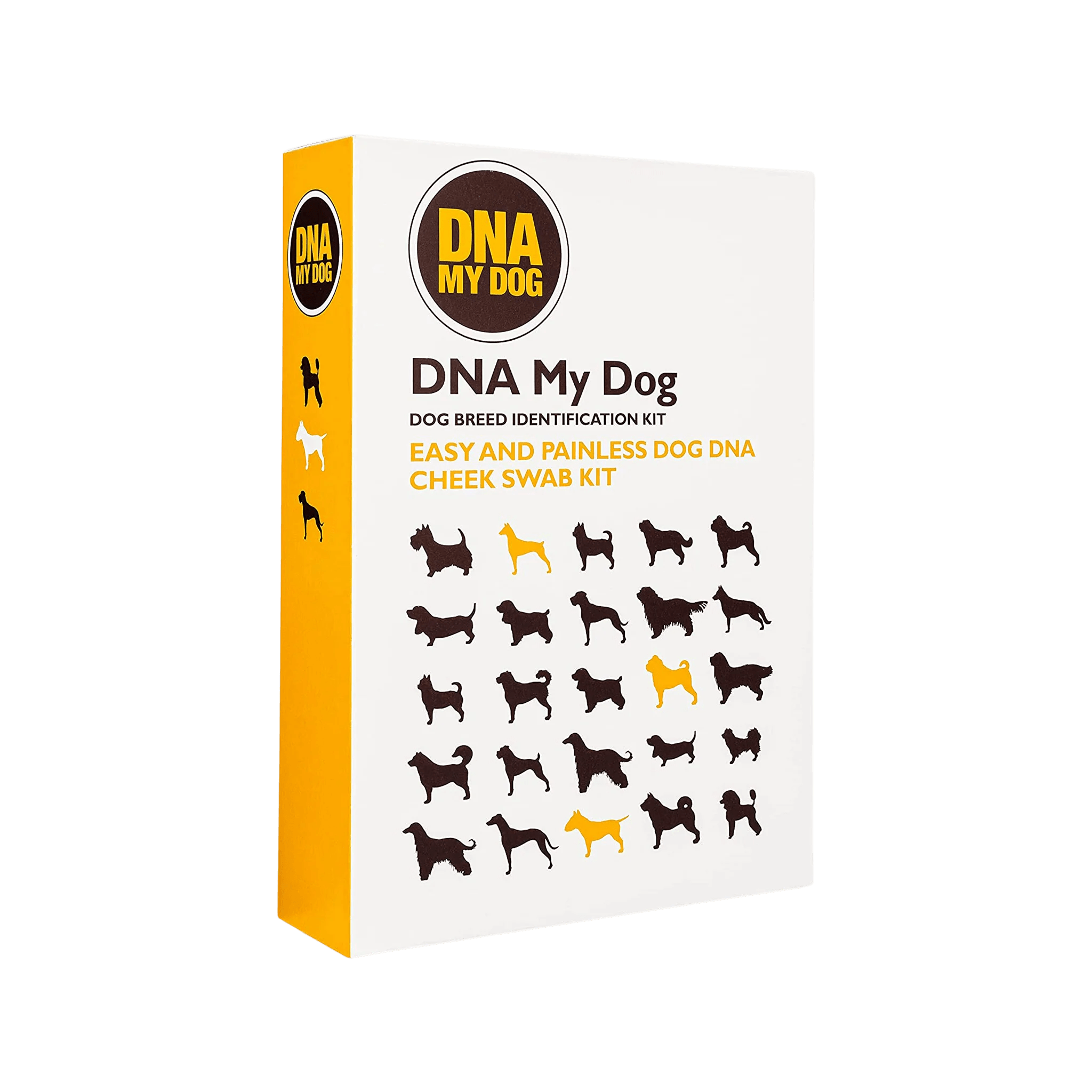 Testing Your Dog's DNA At Home