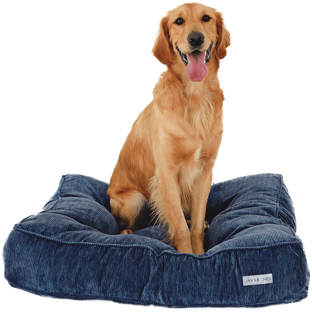 Frisco Fur Baby's Best Buddy Bark N Fetch Pet Supplies