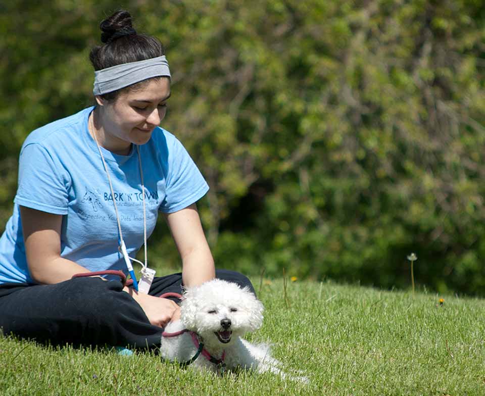 Bark N Town You Pets' Resort and Day Spa