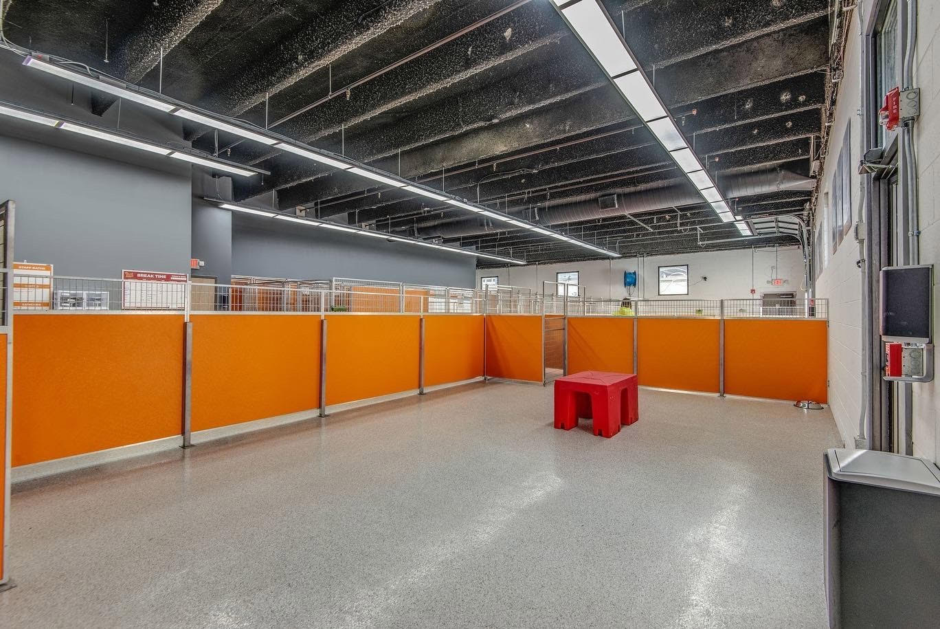 Boarding Bark Public