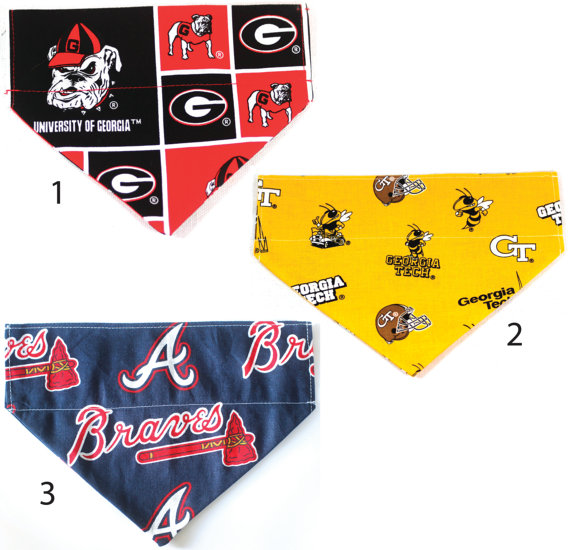 Over the collar Team Bandanas Barks and Bites