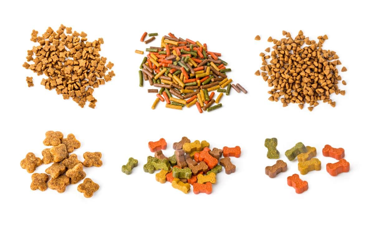 The 7 Best Dog Foods For Allergies and Sensitivites BarkSpot