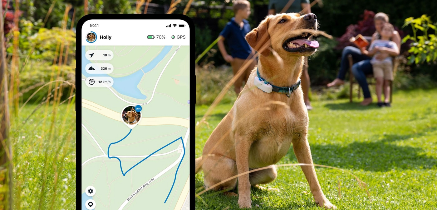 Tractive Dog GPS The Cheapest Way To Track Your Dog BarkSpot