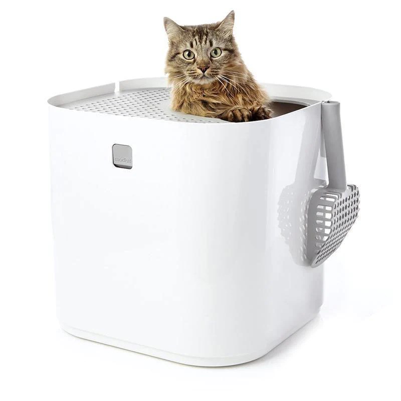 9 Choices for the Best Litter Box for Cats that Kick Litter