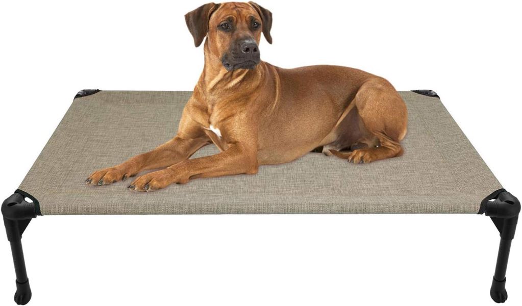 Top Dog Beds The Ultimate Guide for Your Furry Friend