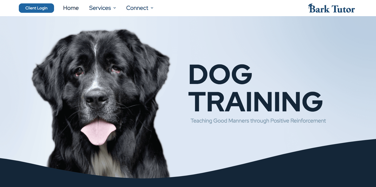 Bark Tutor Dog Training Indianapolis, Indiana