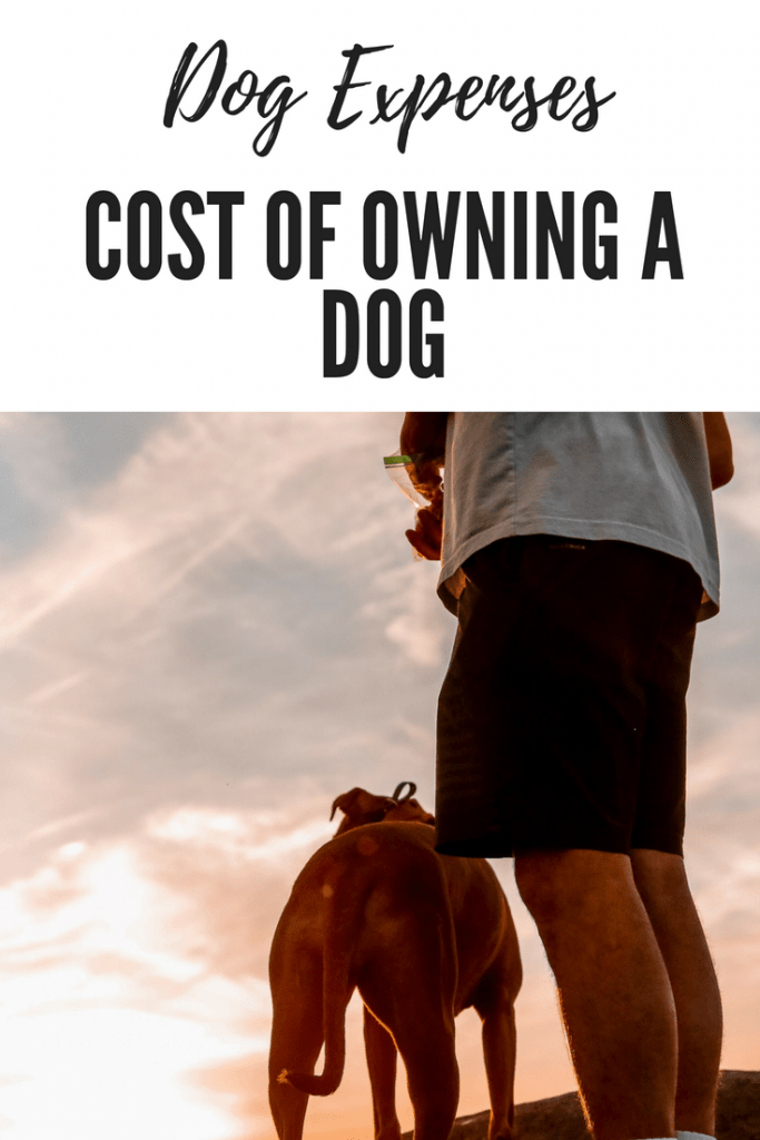 Dog Expenses Bark With It