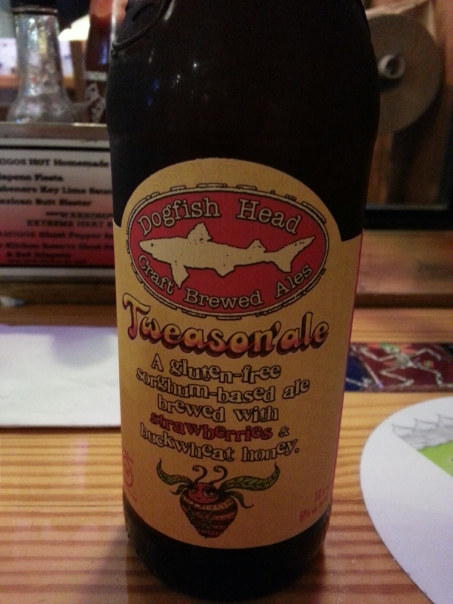 dogfish head Beer13