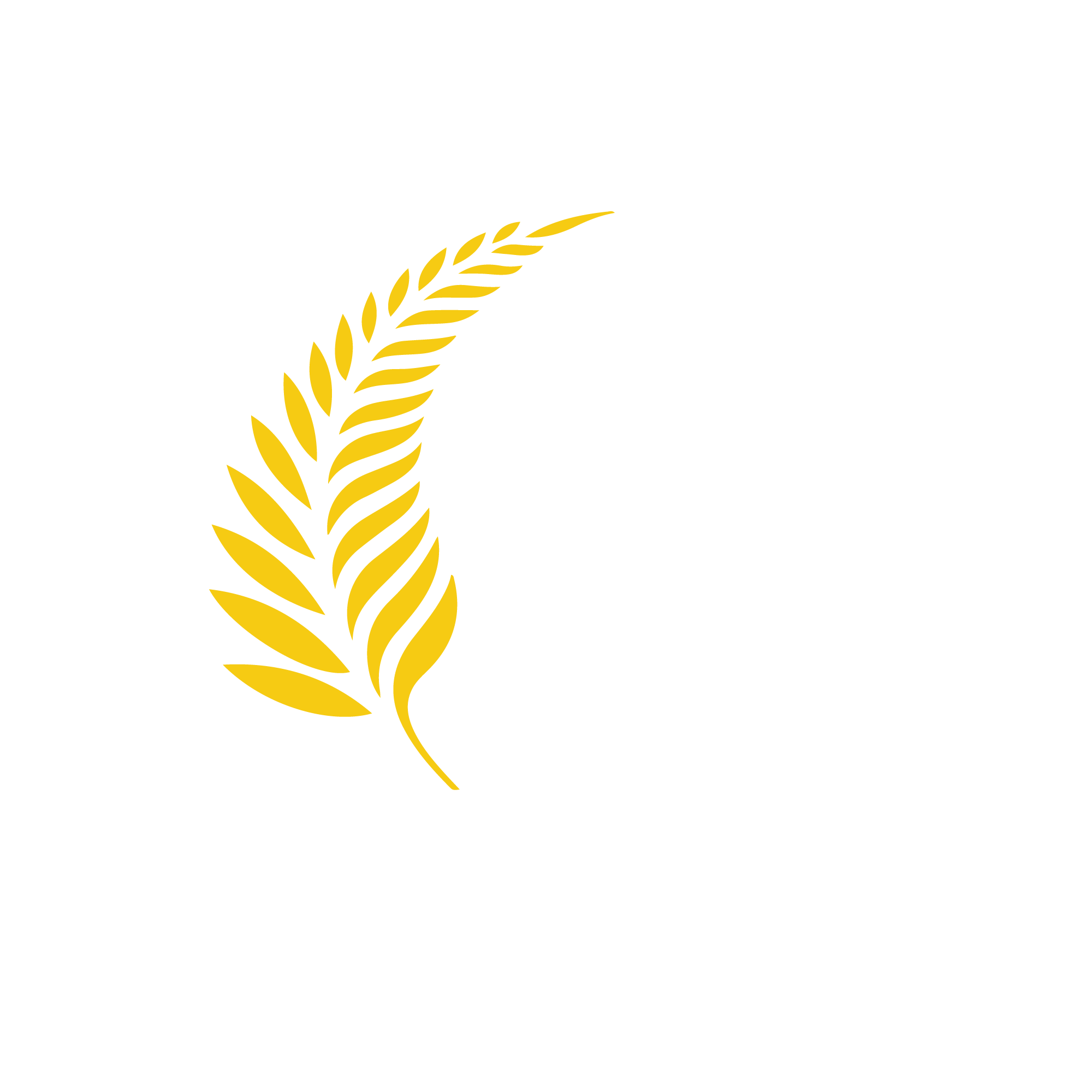 Barleyfields Equestrian Centre Derbyshires Premier Equestrian Centre