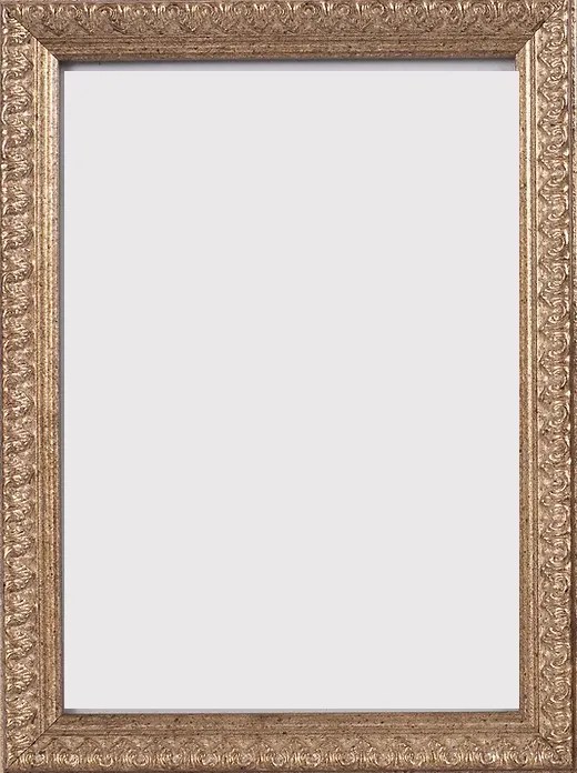 Ornate Silver/Bronze Frame Barnel's The Art & Framing Gallery