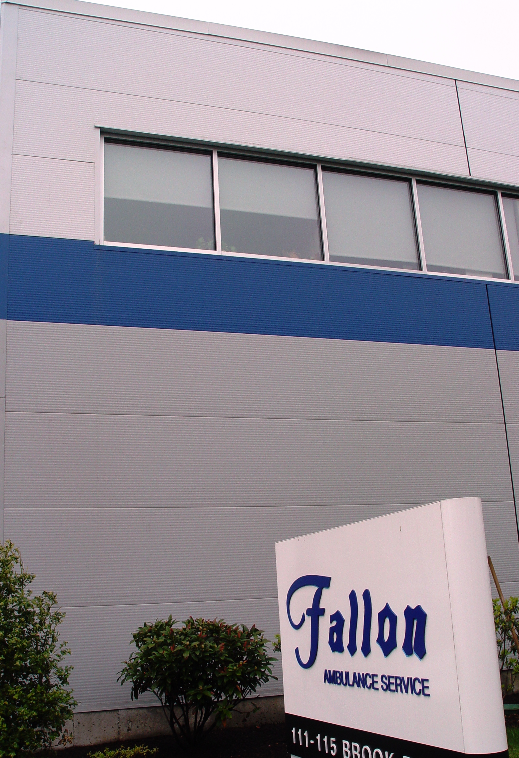 Fallon Barnes at Pamela White blog